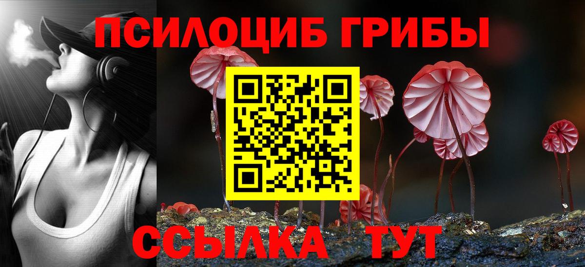 Псилоцибиновые грибы Magic Shrooms  Вход с VPN  Бердск 